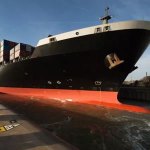 China                                  Best Sea Freight Rates Shenzhen to USA Santa Fe (NM) /Seattle/Springfield (IL) /St Louis /St Paul /Tallahassee /Topeka/Trenton (NJ) /Washington D. C.              on sale 